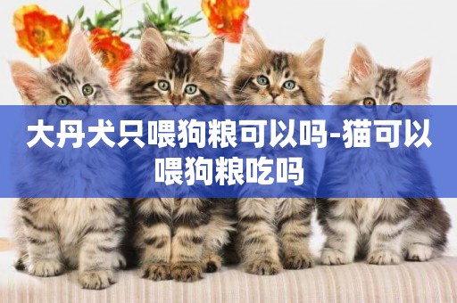 大丹犬只喂狗粮可以吗-猫可以喂狗粮吃吗